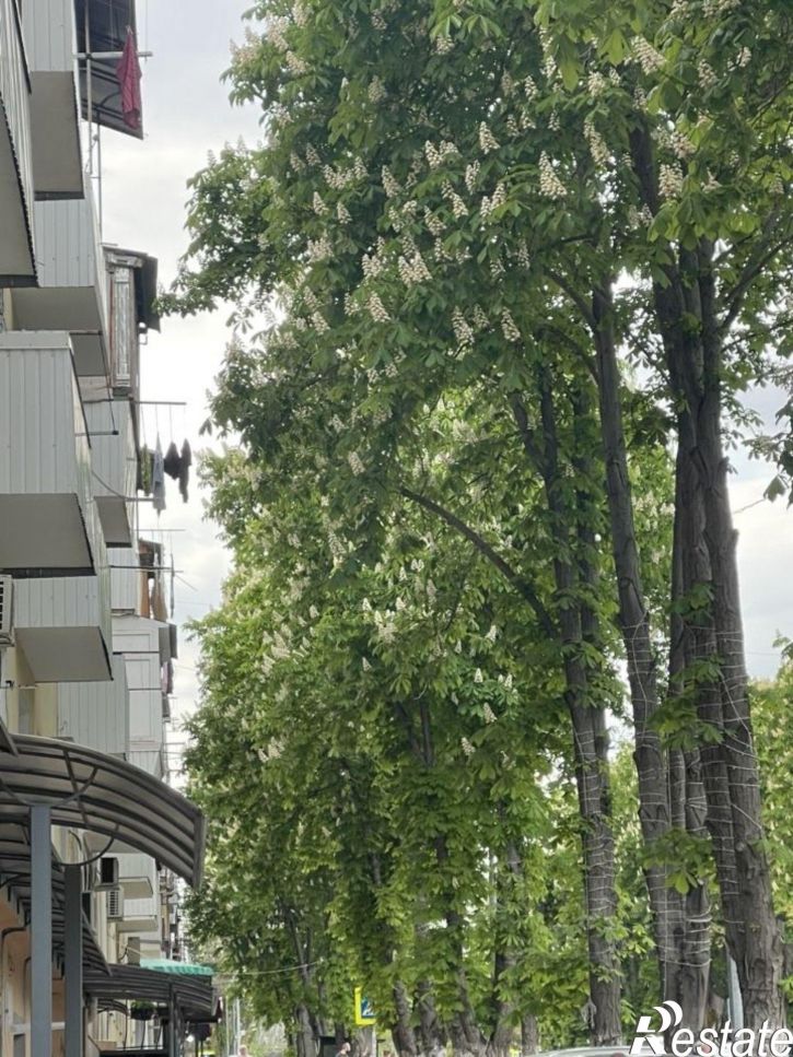 2-комн квартира ул Галерейная, 13,  д. 13